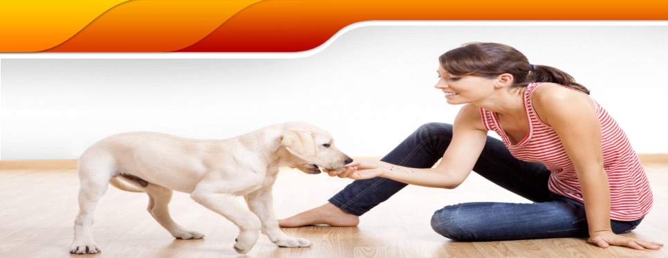 In Floor Heating Radiant floor heat